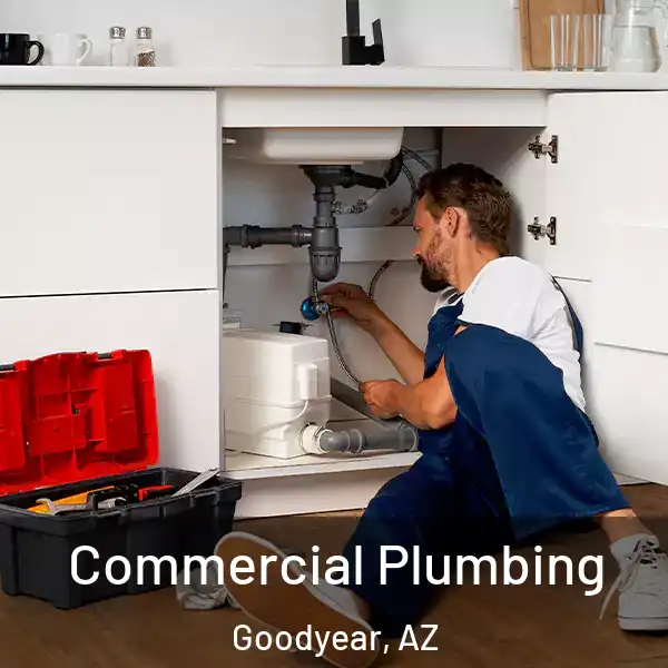  Commercial Plumbing Goodyear, AZ