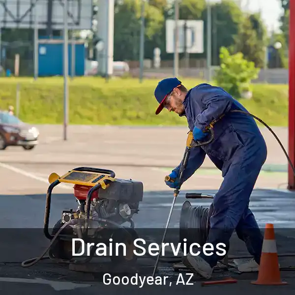  Drain Services Goodyear, AZ
